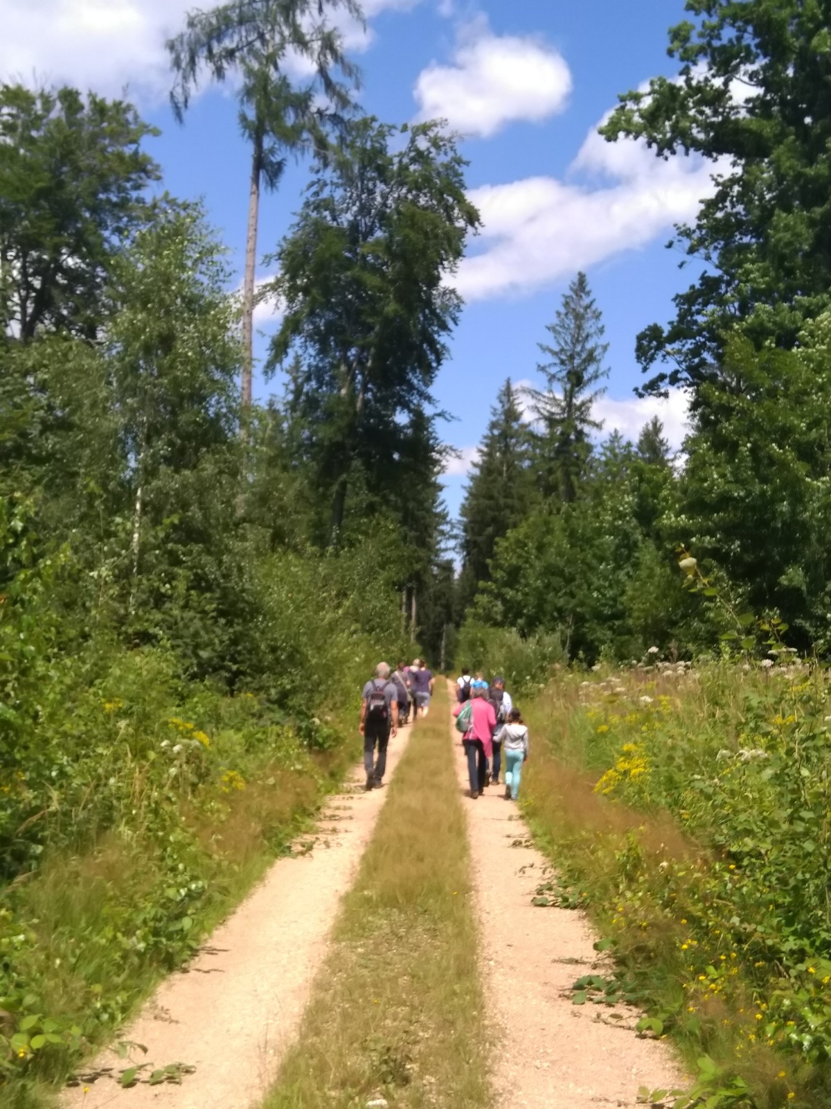 Sonnenweg im Osterzgebirge