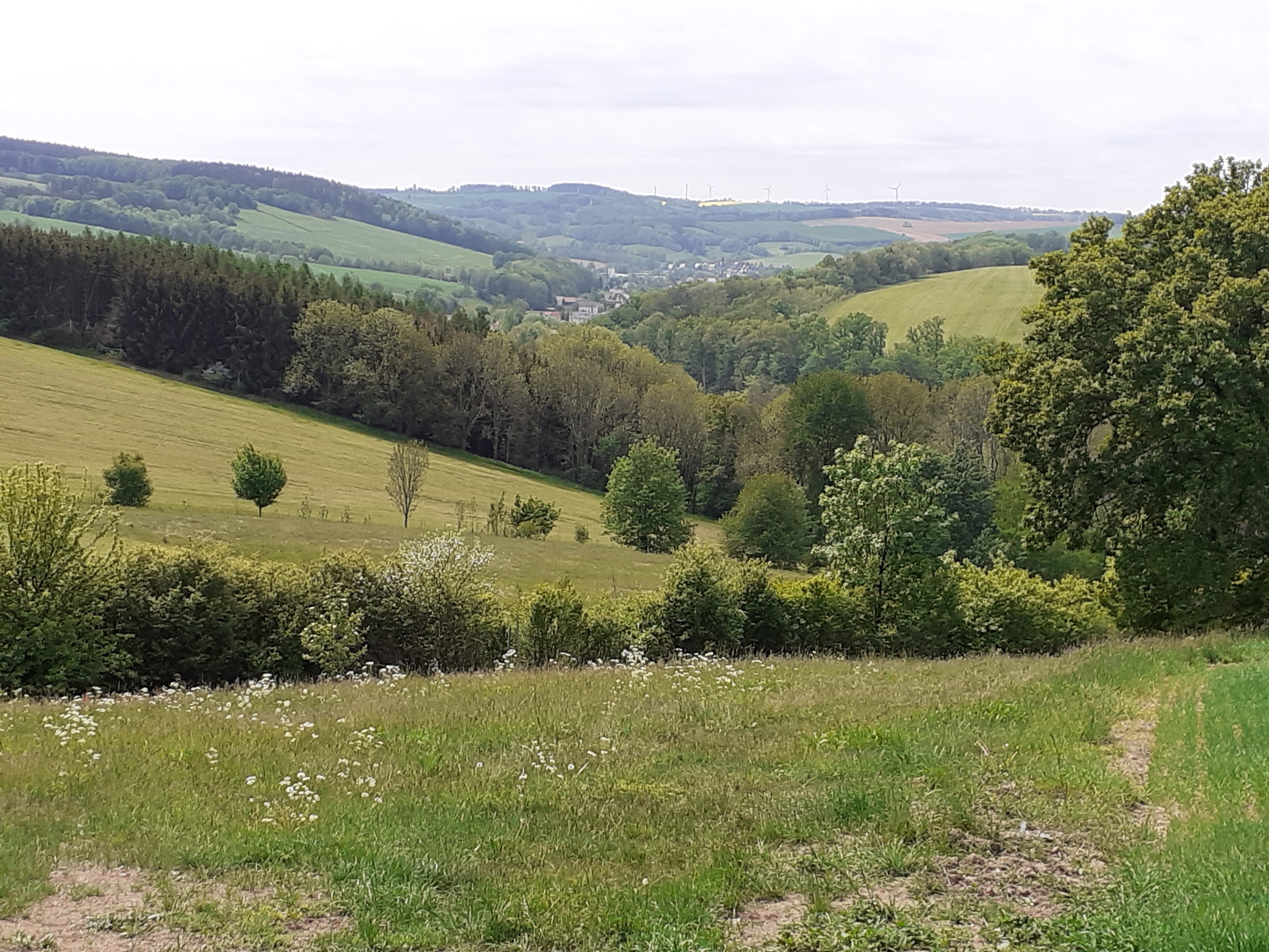 Landschaft des Osterzgebirges 