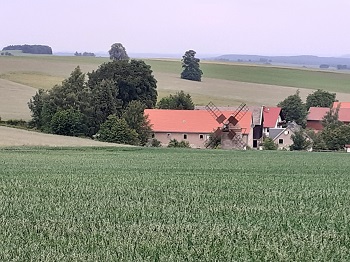 Blick auf's Fohlengut