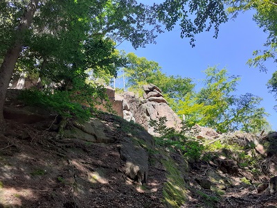 Buchen und Porphyr in der Hartmannsdorfer Schweiz