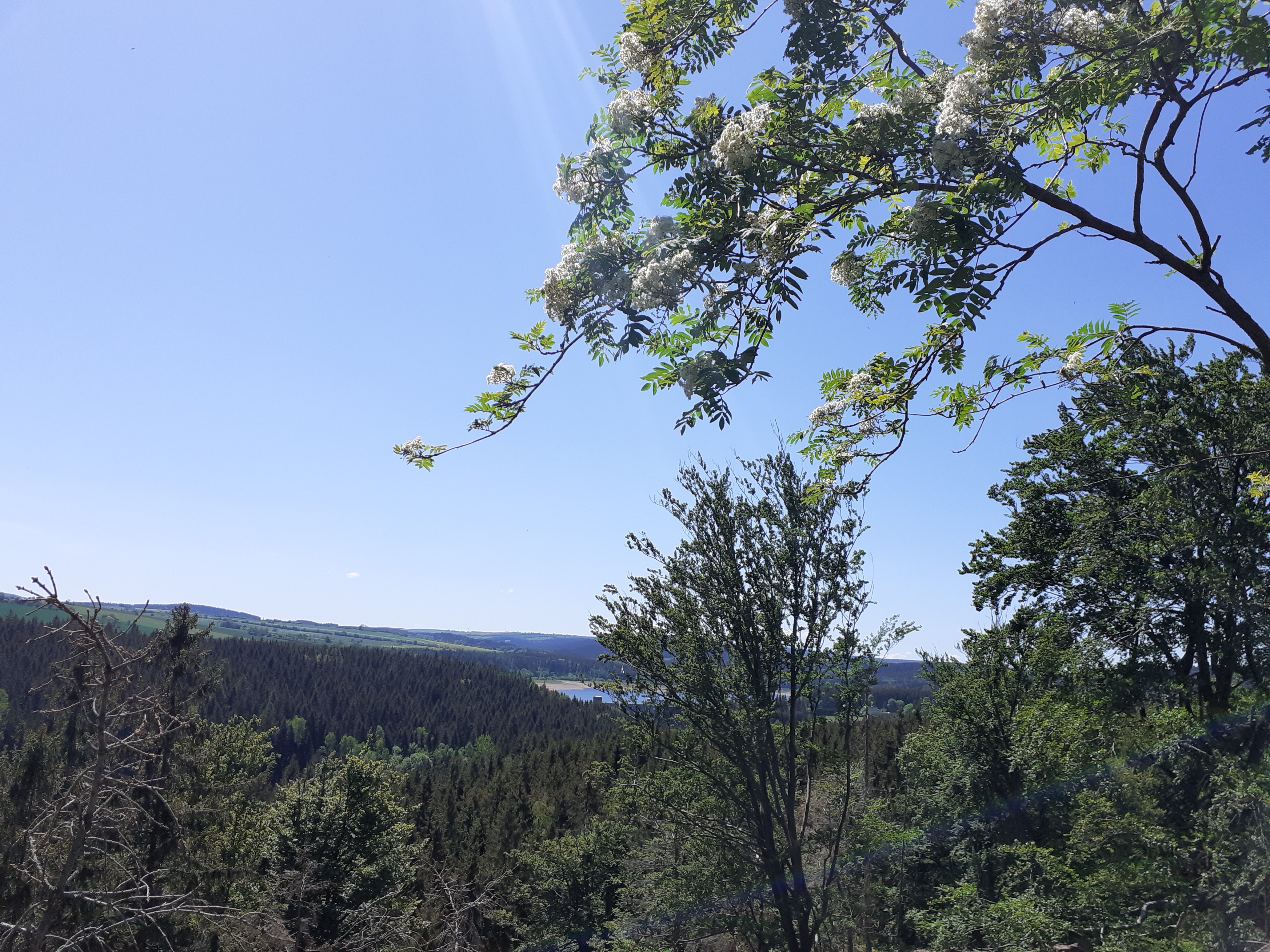 Blick ins Osterzgebirge