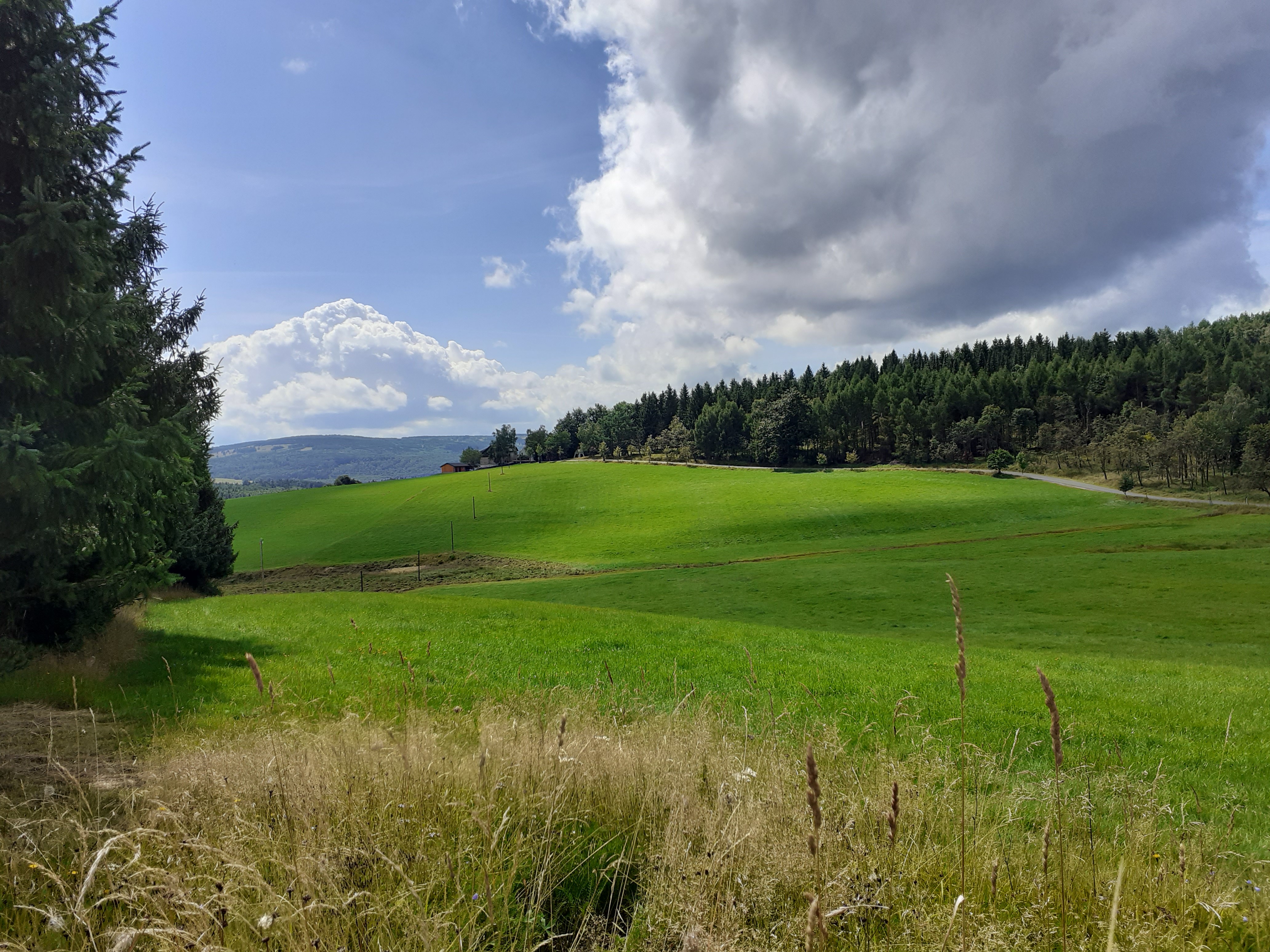 Landschaft bei Seiffen