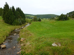 Tal der Wilden Weißeritz