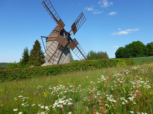 Das Wahrzeichen von Reichstädt: die kleinste und höchstgelegene Turmholländerwindmühle Deutschlands